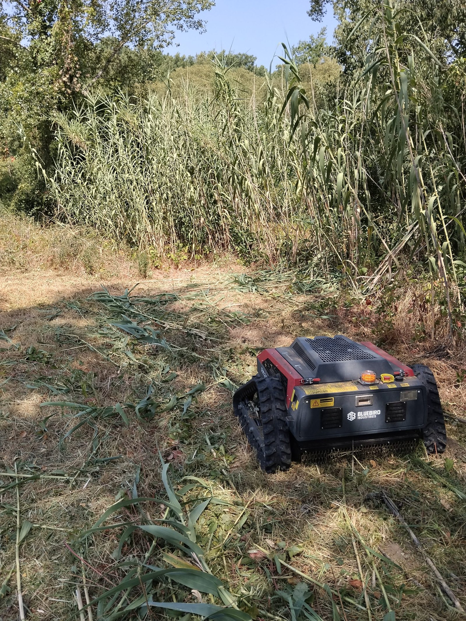 Cannes de Provence reprises au robot télécommandé